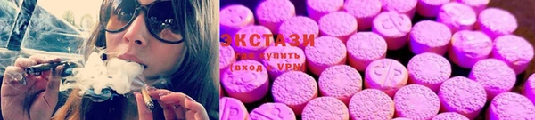 ПСИЛОЦИБИНОВЫЕ ГРИБЫ Осинники