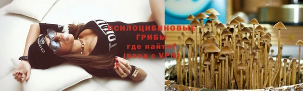 spice Остров