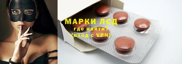 ПСИЛОЦИБИНОВЫЕ ГРИБЫ Осинники
