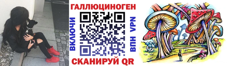 сколько стоит  Сергач  Галлюциногенные грибы мицелий 
